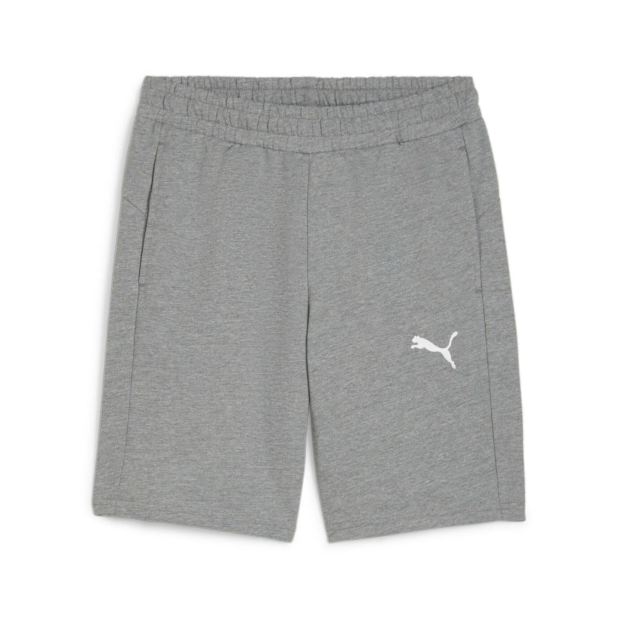 PUMA Puma Herren teamGOAL Casuals Shorts - 658608