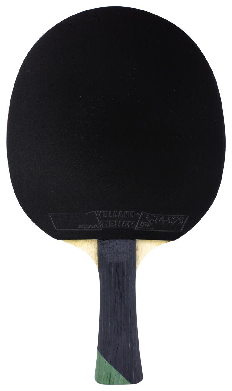 Tischtennischläger Tibhar Master Alexis Lebrun 7/7