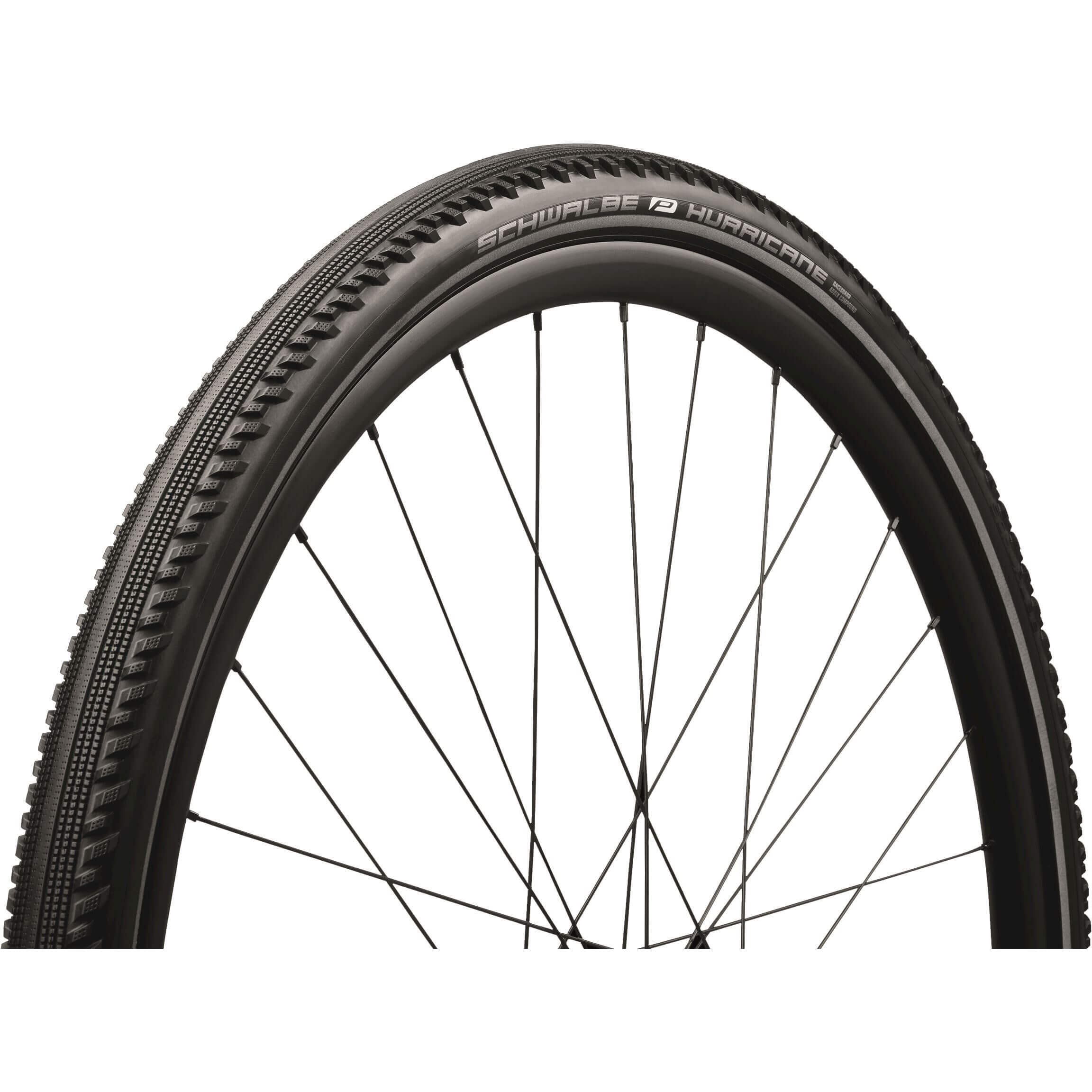 SCHWALBE picture