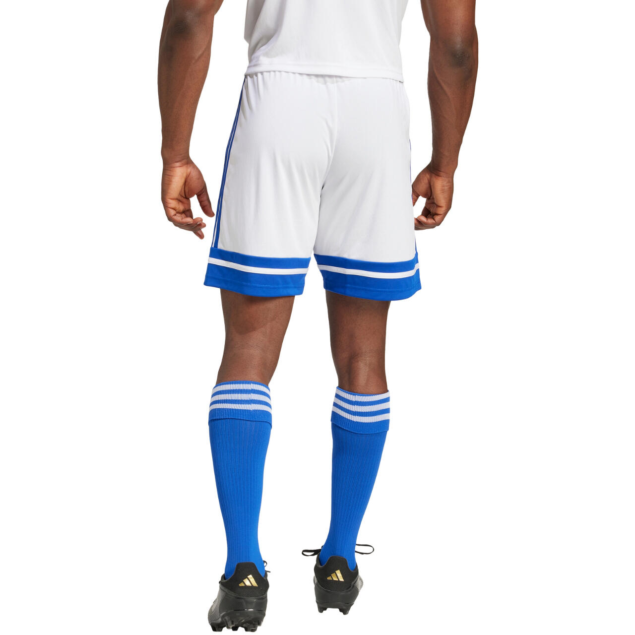 adidas Herren Short Squadra 25 3/8