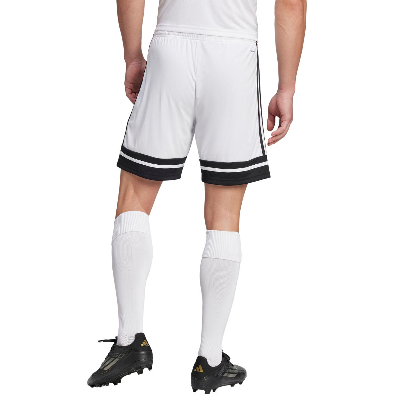 adidas Herren Short Squadra 25 2/9