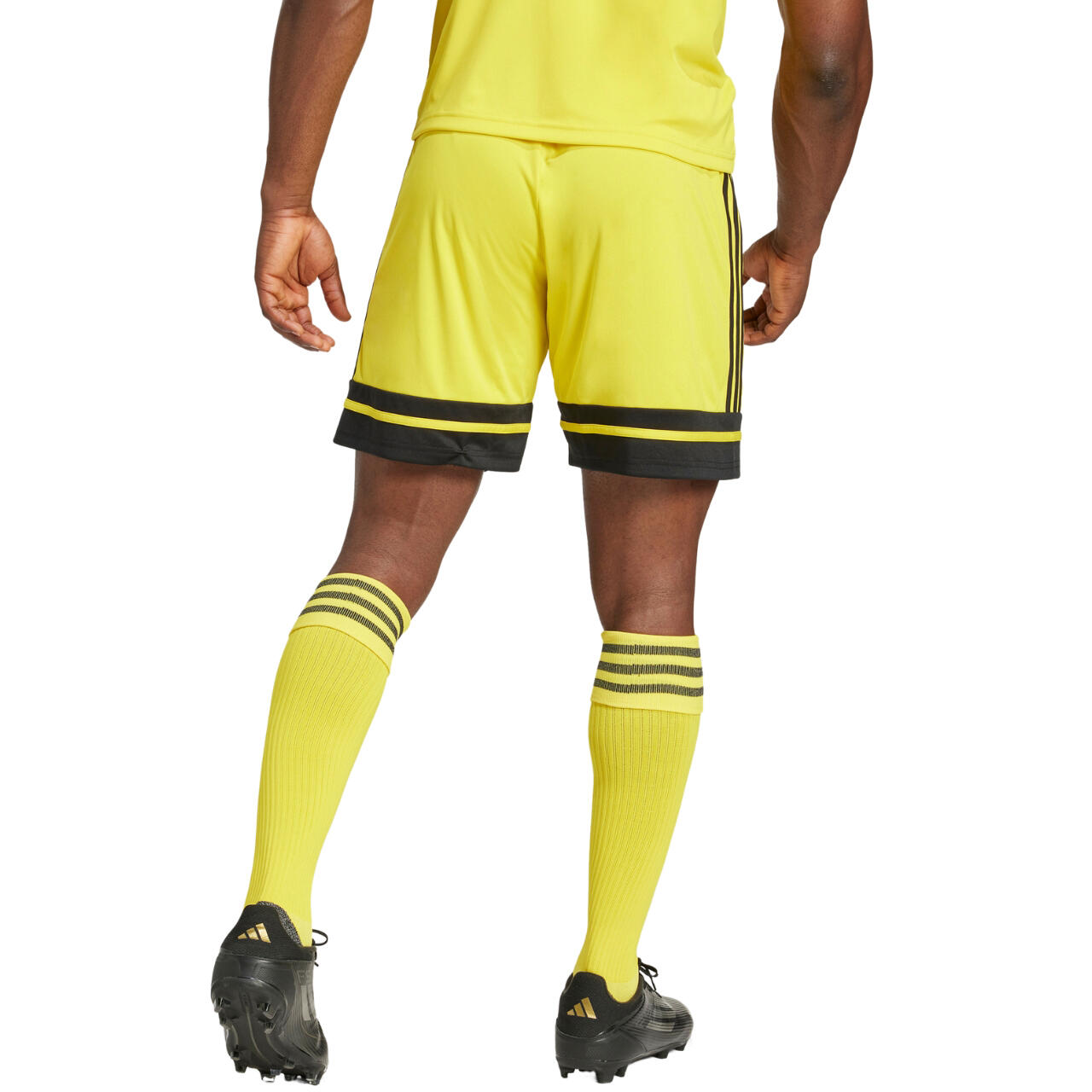 adidas Herren Short Squadra 25 2/9