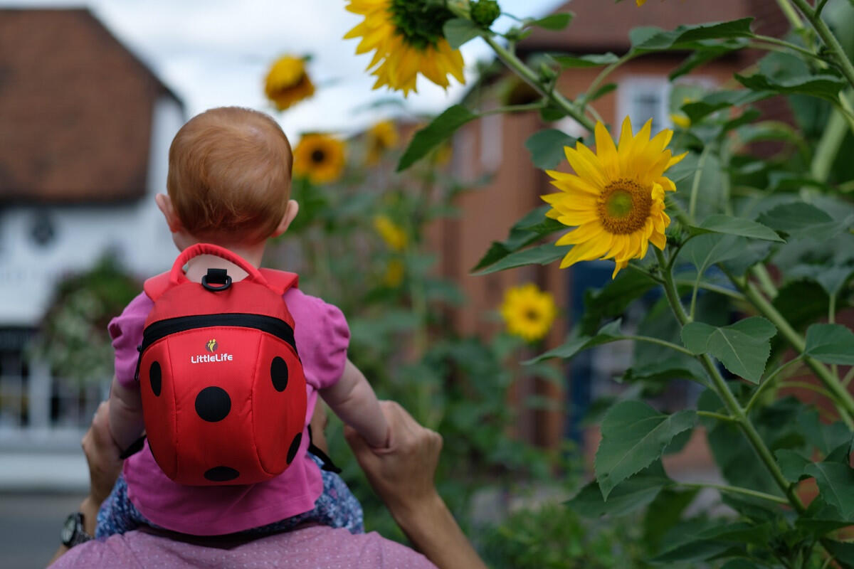 LITTLELIFE picture