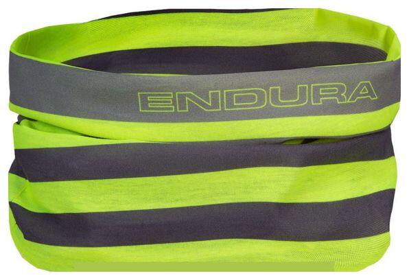 ENDURA picture