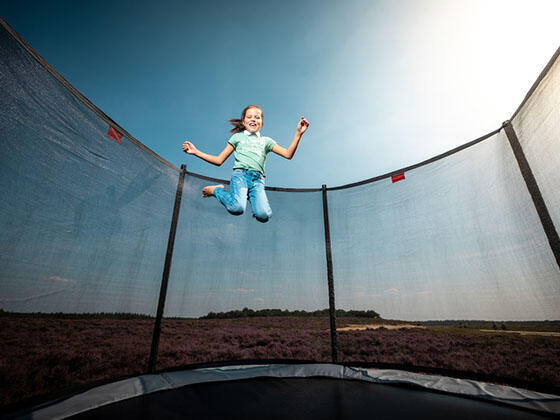 Trampolino + Rete di sicurezza BERG Favorit Regular Rotondo 430 Grigio argento 3/3