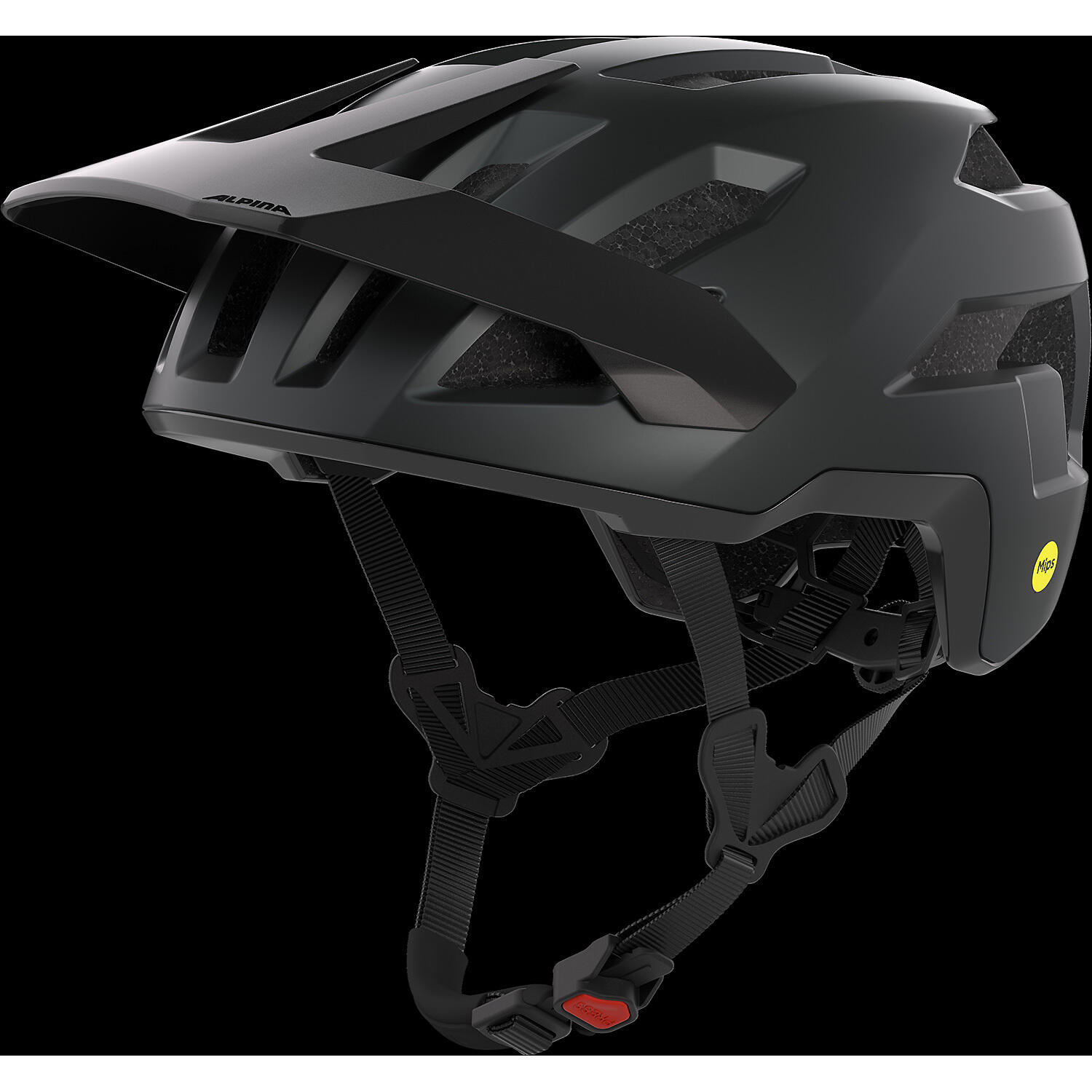 Casque Alpina Taunus Mips 1/4