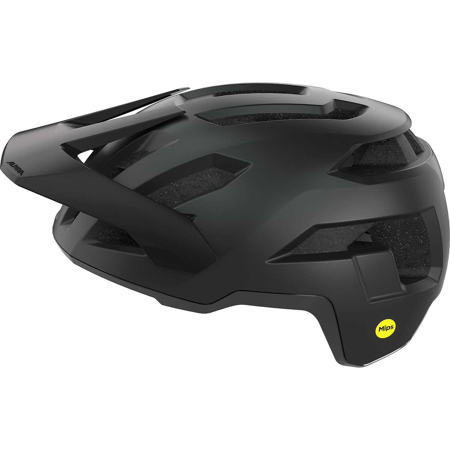 Casque Alpina Taunus Mips 2/4