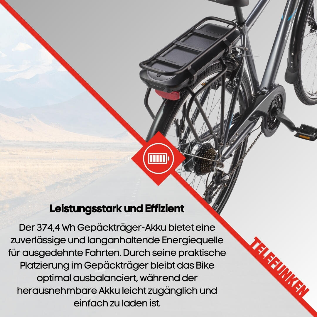 E-Bike XT481 28 Zoll 21-Gang Pedelec Trekking Touren Elektrofahrrad Herren grau 6/7
