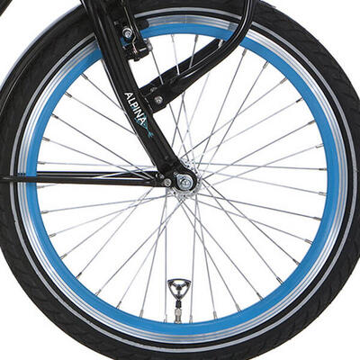 Ruota anteriore Alpina 22 J19SG Sea Green raggi argentati.