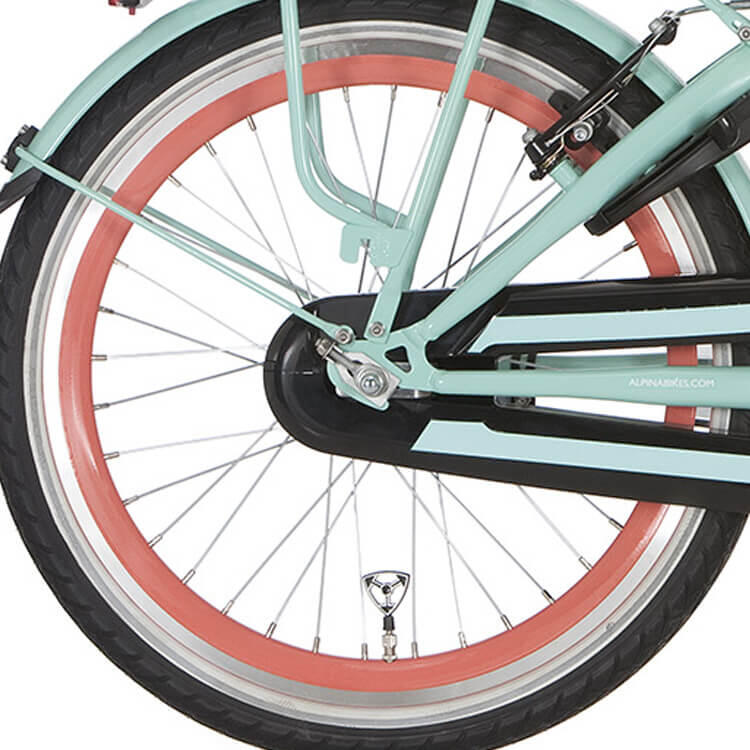 ALPINA Ruota posteriore Alpina 20 pollici J19DB Salomon, mozzo freno standard.