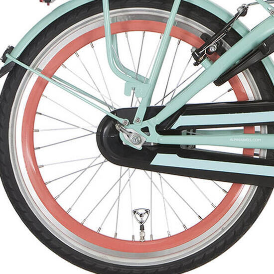 Ruota posteriore Alpina 20 pollici J19DB Salomon mozzo freno standard.