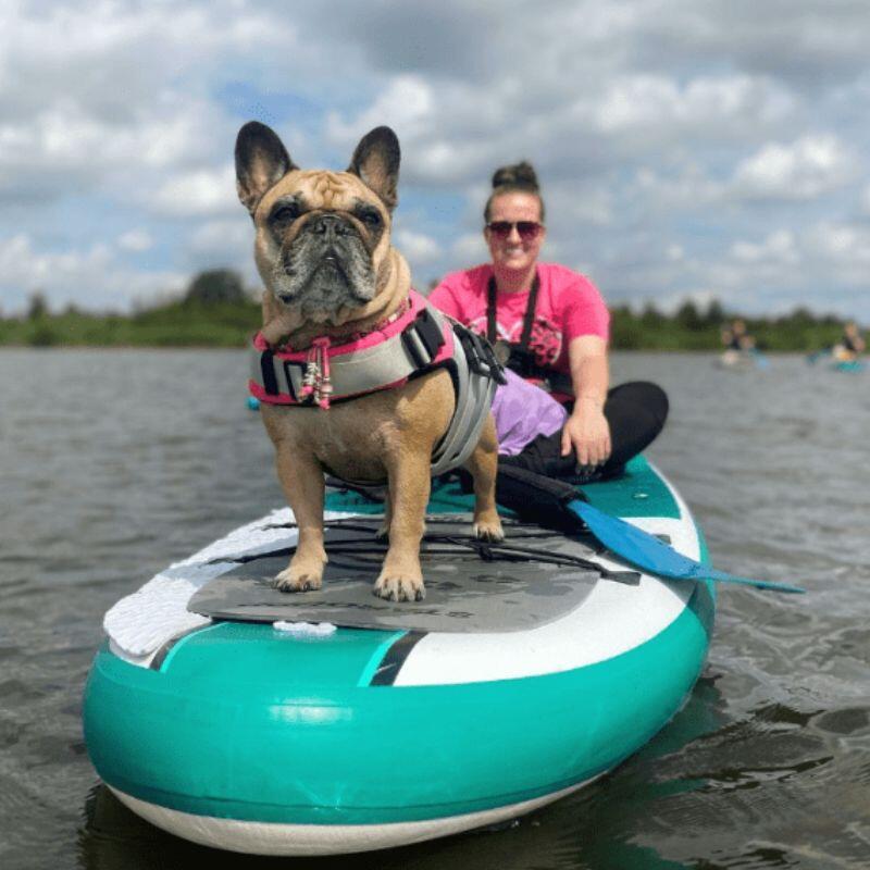 Stardupp Dog Pad SUP Board Protector, Schutzmatte für Hunde 2/3