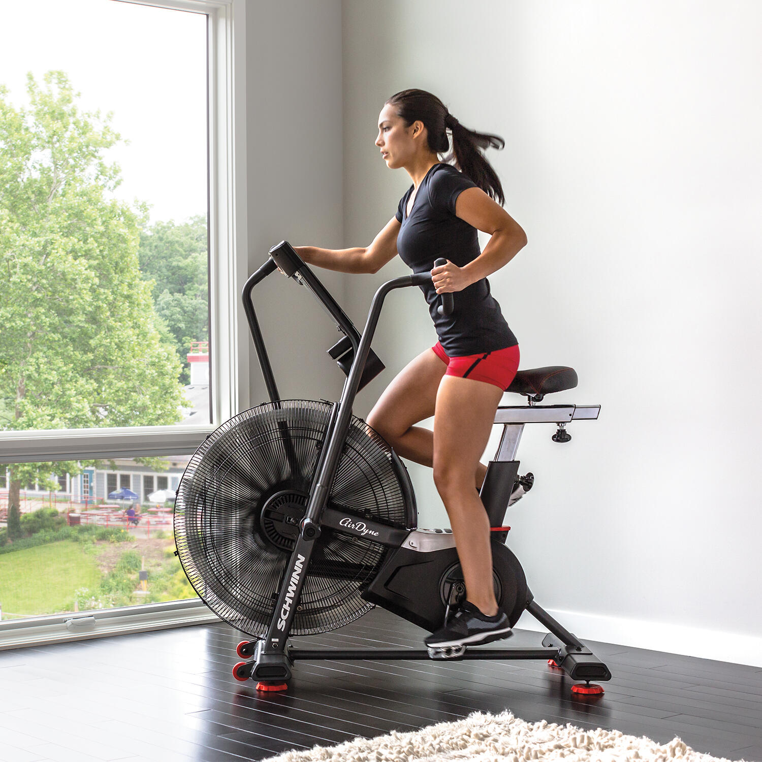 Airdyne Bike AD8 Fitnesstraining Unisex 2/7