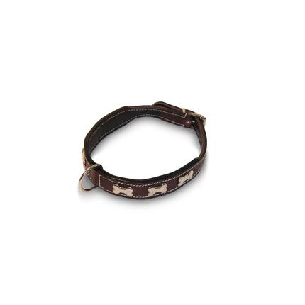 Flaches Halsband für Hunde mit Knochen HFI