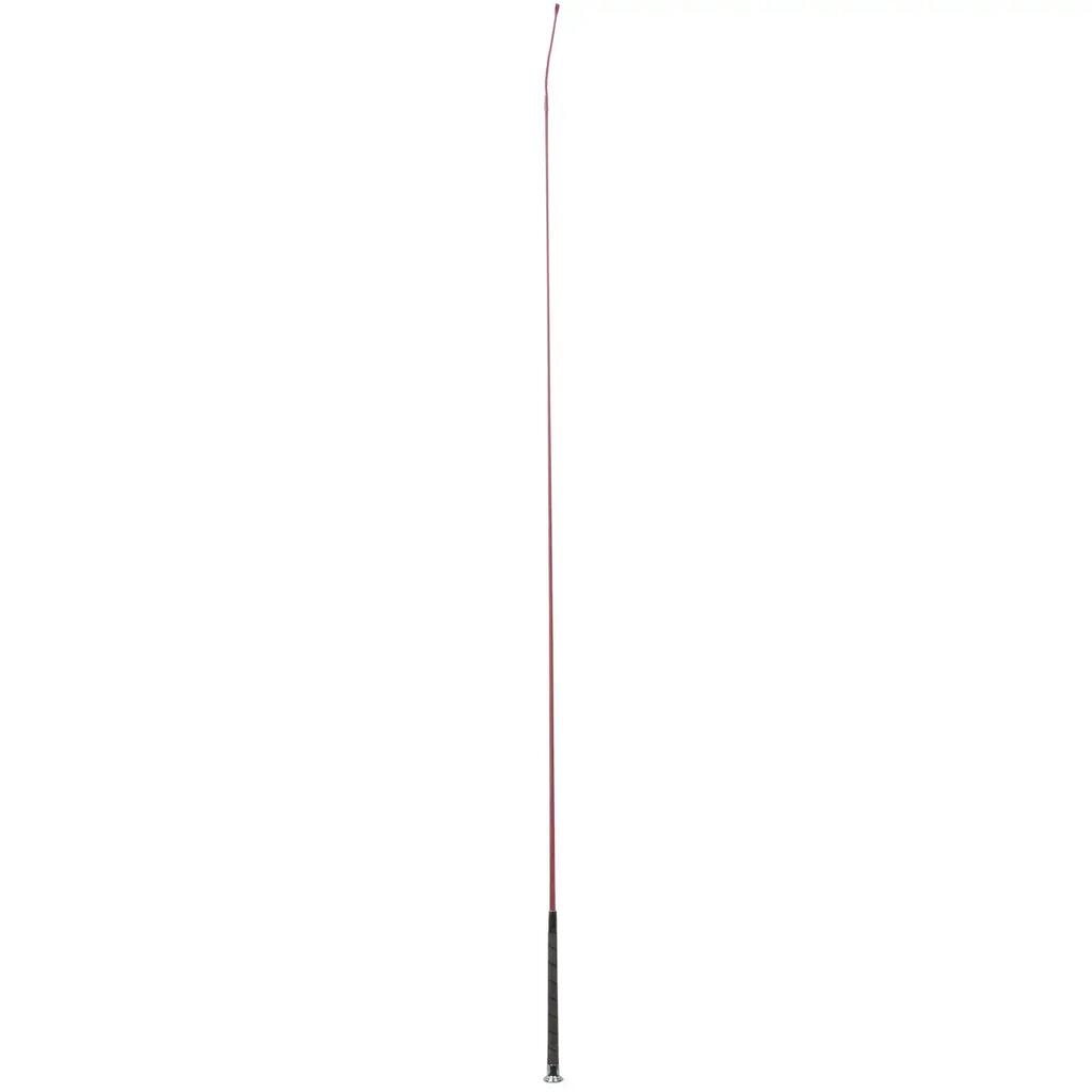 Dressage Whip Döbert Sun-whip