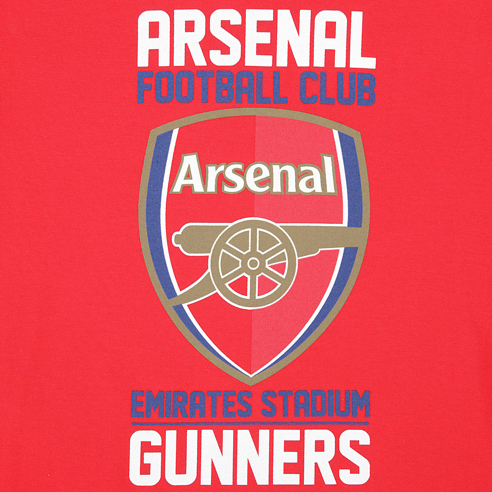 Arsenal FC Kids T-Shirt & Short Set 4/7