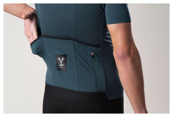 LeBram Ventoux Short Sleeve Jersey Agave Green 7/7