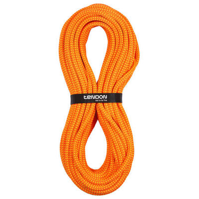 Corda da arrampicata completa con scudo Tendon Ambition 10.2 Tefix