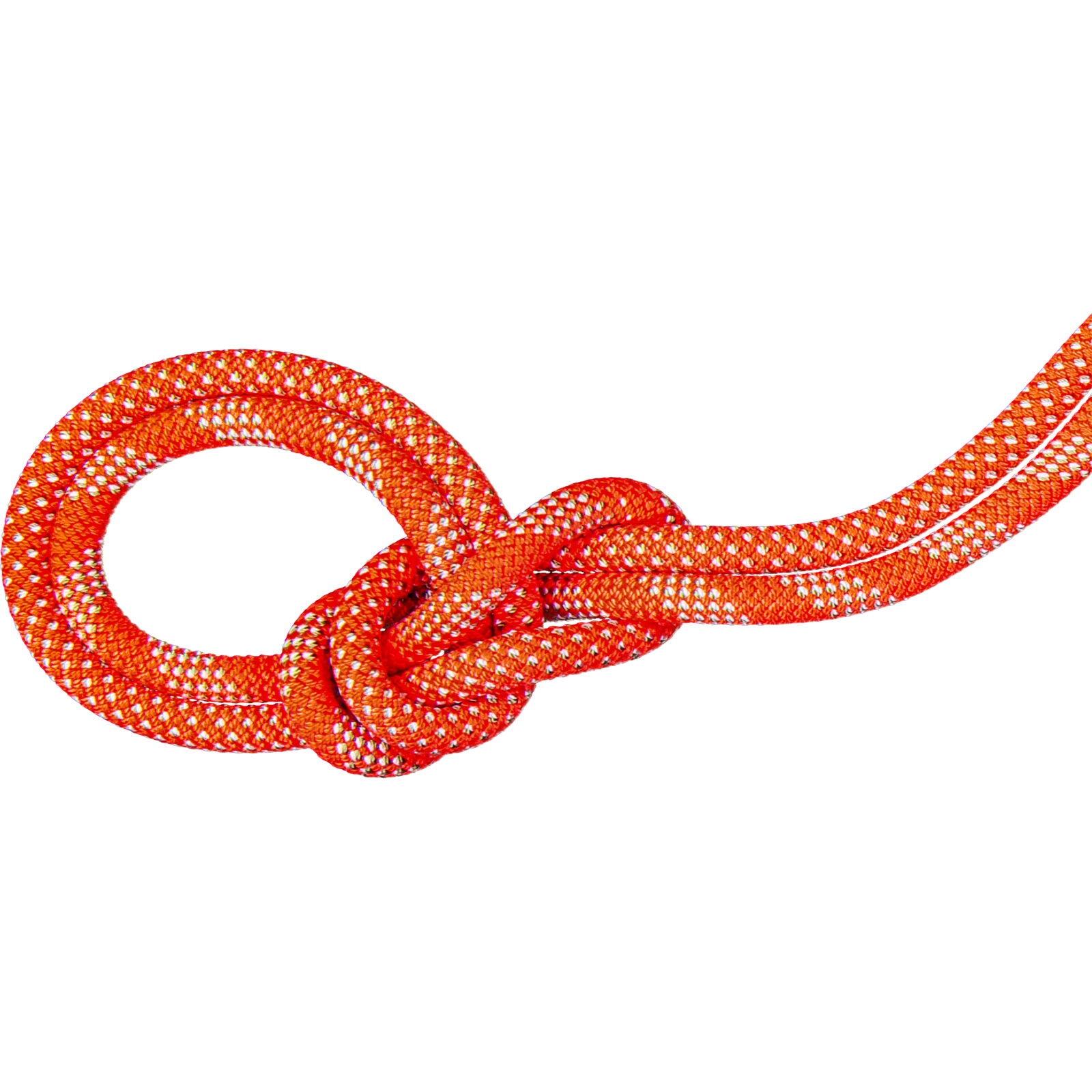 MAMMUT picture