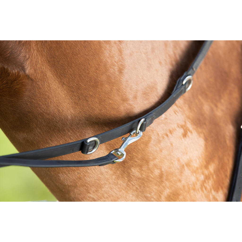 Horse Reins HFI Thiedeman