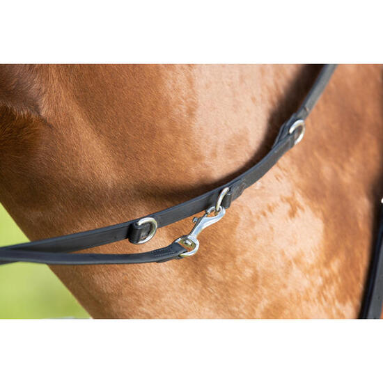 Rênes pour cheval HFI Thiedeman