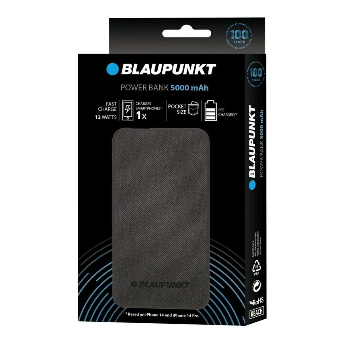 BLAUPUNKT picture