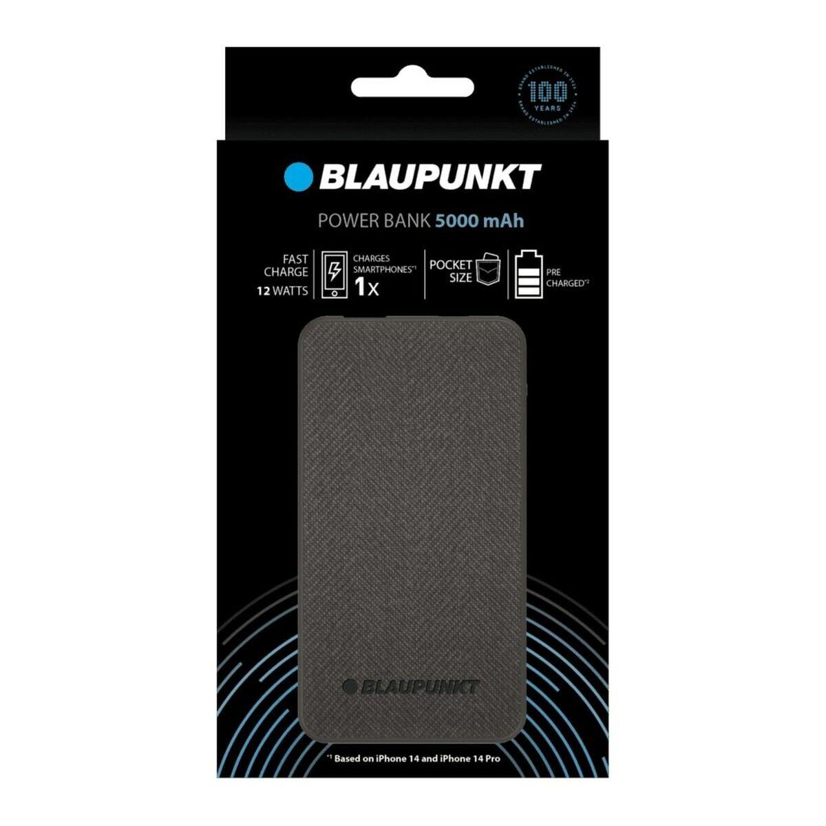 Powerbank Blaupunkt BL-105PB/1VH USB 2/2