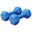 Set de gantere din neopren, 2x 2 Kg, albastru, Gorilla Sports