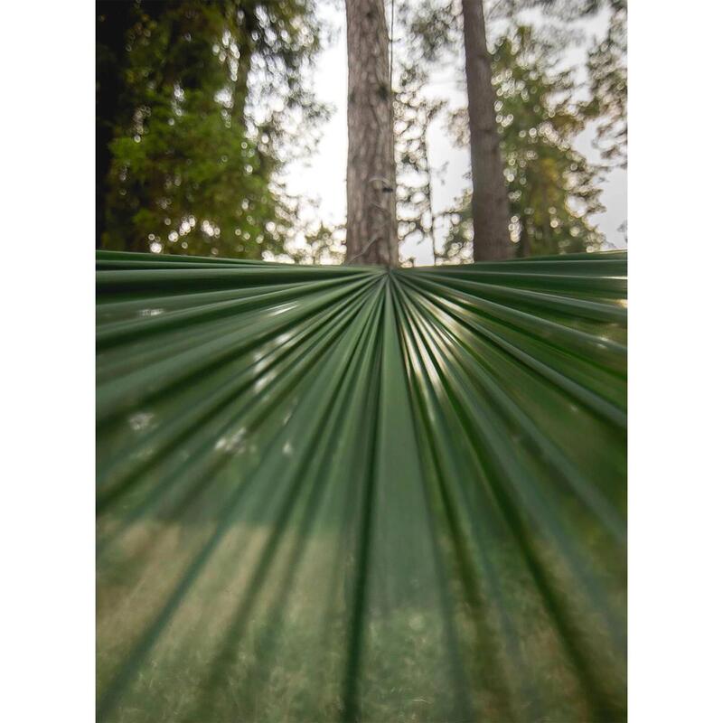 Hamak Lesovik Sul - forest green