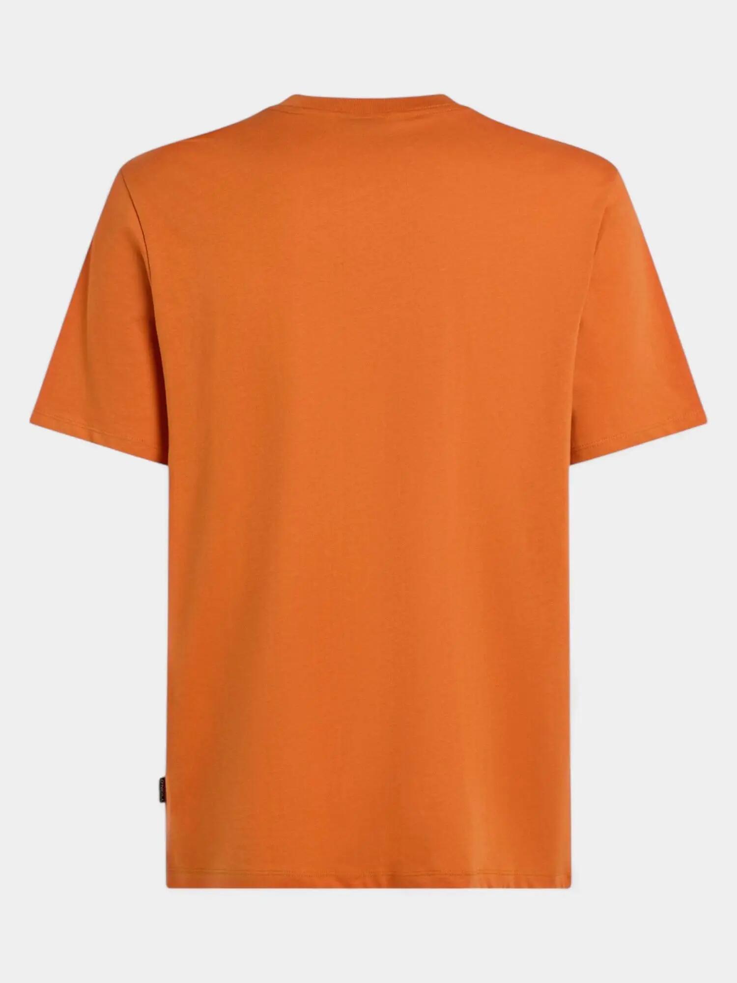 Férfi rövid ujjú póló O'Neill Front Print T-Shirt 6/7