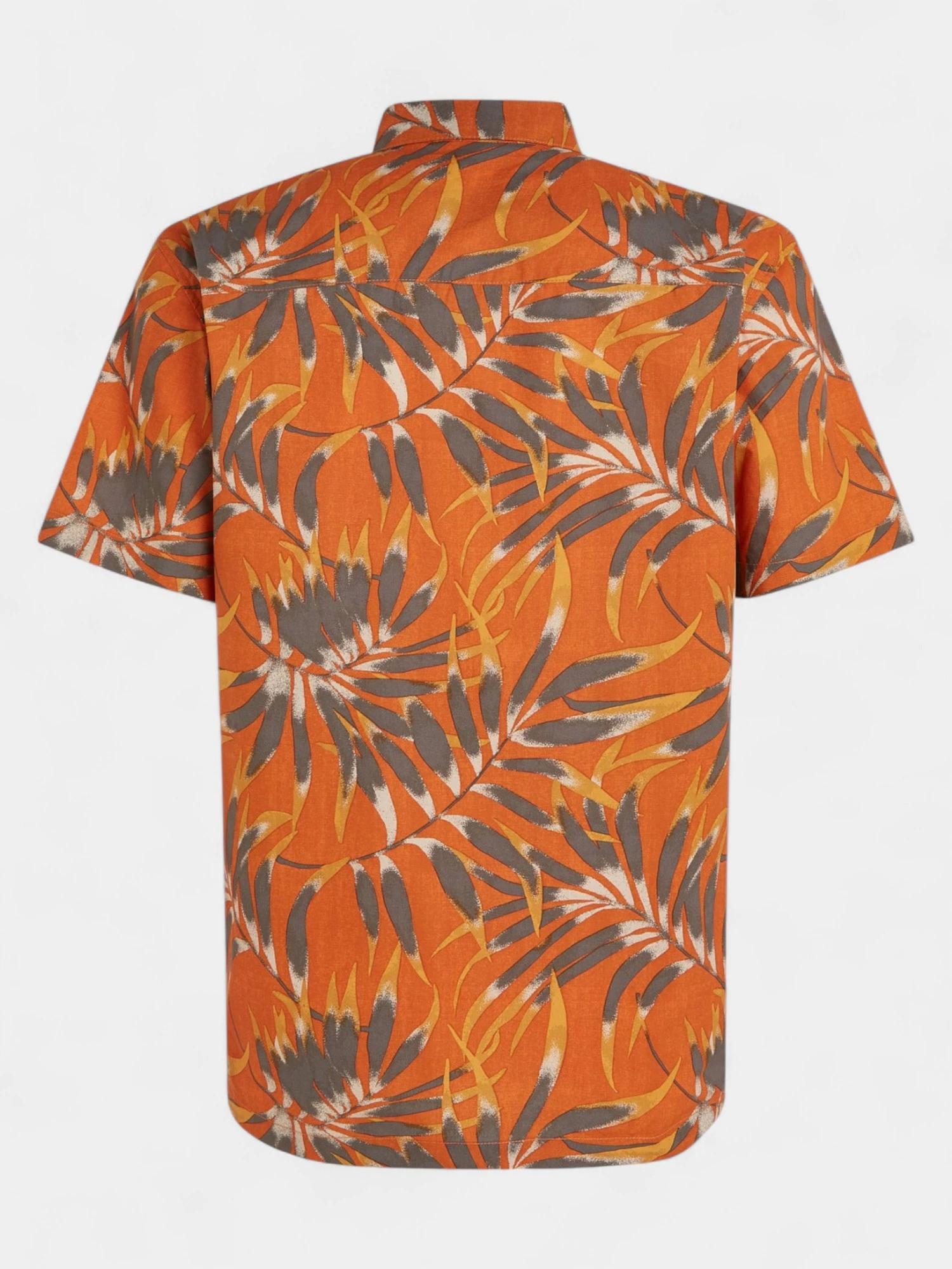 Chemise homme Print 6/7