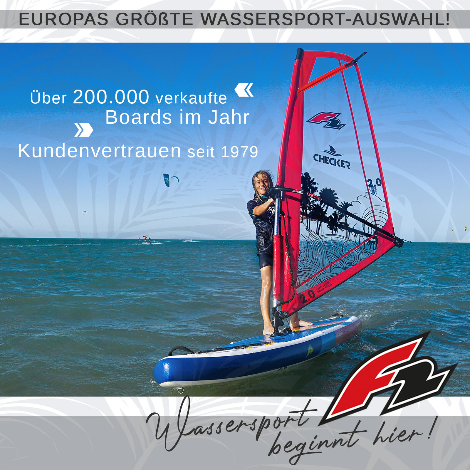 F2 Set Glide SUP 10'2" mit Windsurfsegel Checker 4,5qm 6/6