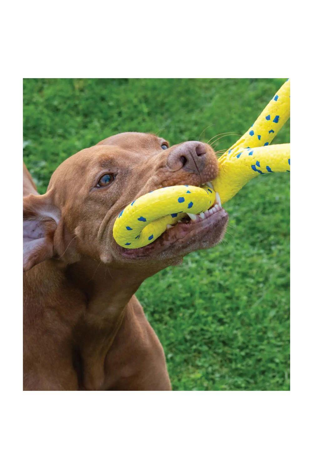 Zeus Nitro Tugger Dog Toy 6/7