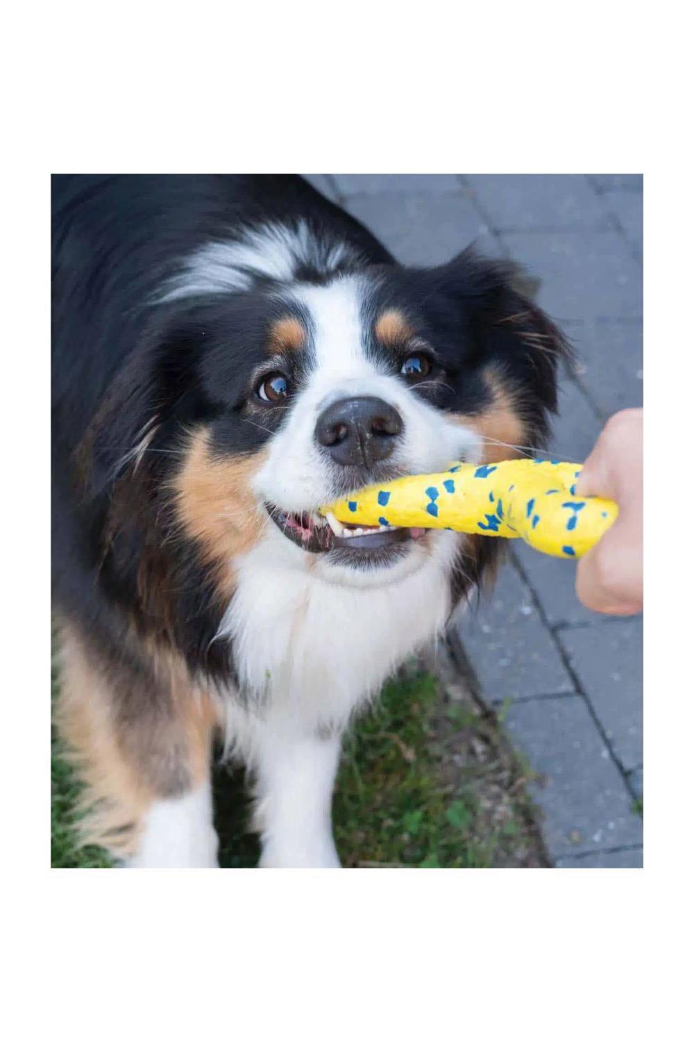 Zeus Nitro Tugger Dog Toy 7/7