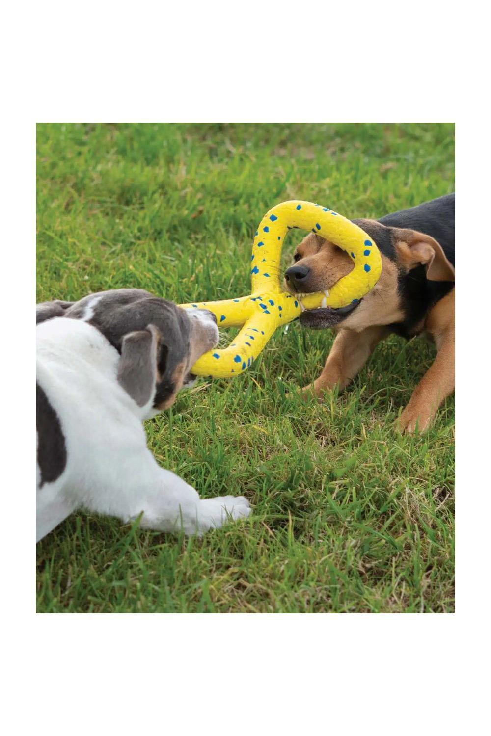 Zeus Nitro Tugger Dog Toy 5/7