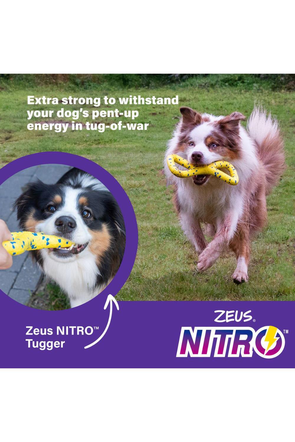Zeus Nitro Tugger Dog Toy 4/7