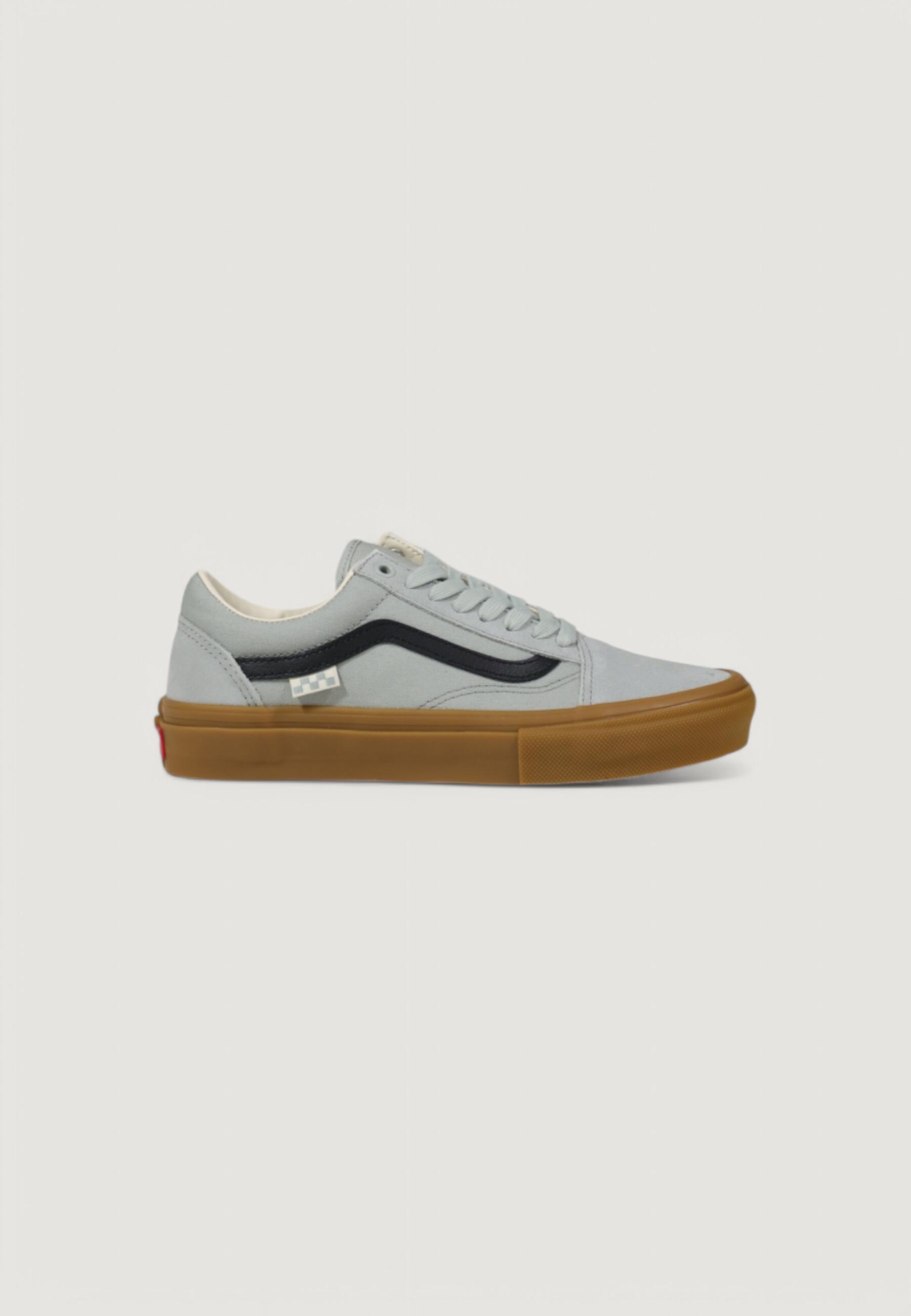 VANS picture