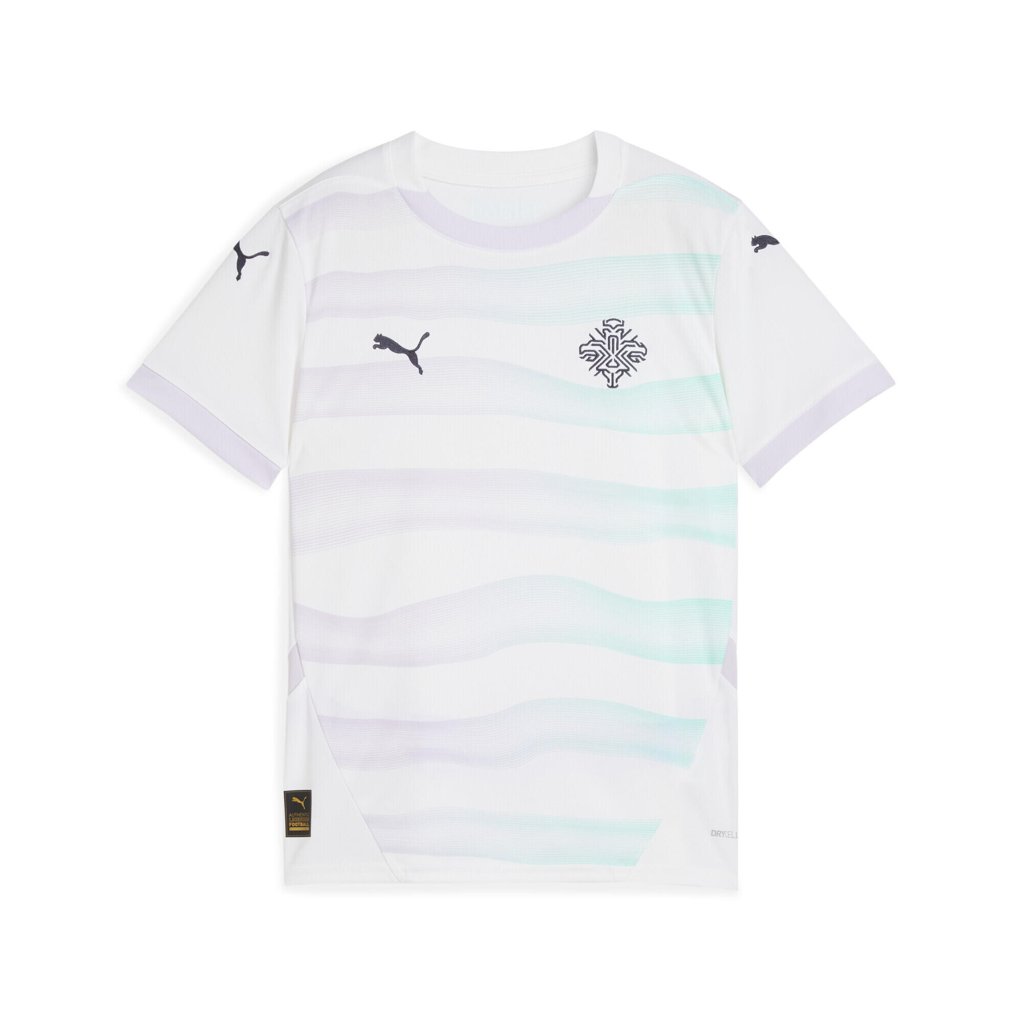 Maglia gara Away Team Islanda 2025 per ragazzi PUMA White New Navy Blue 2/7