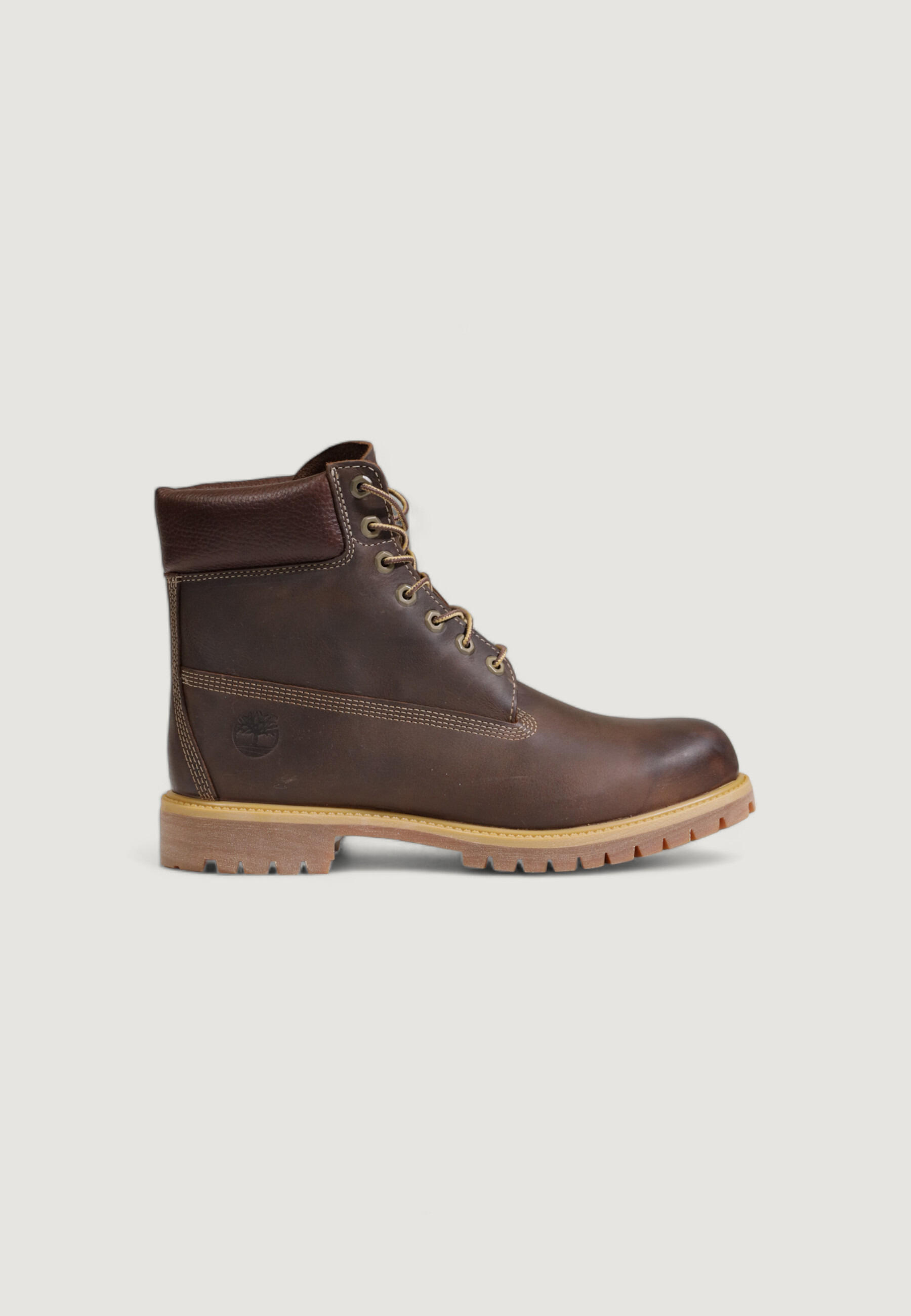 TIMBERLAND Scarpe Uomo 6 IN LACE WATERPROOF BOOT Marrone