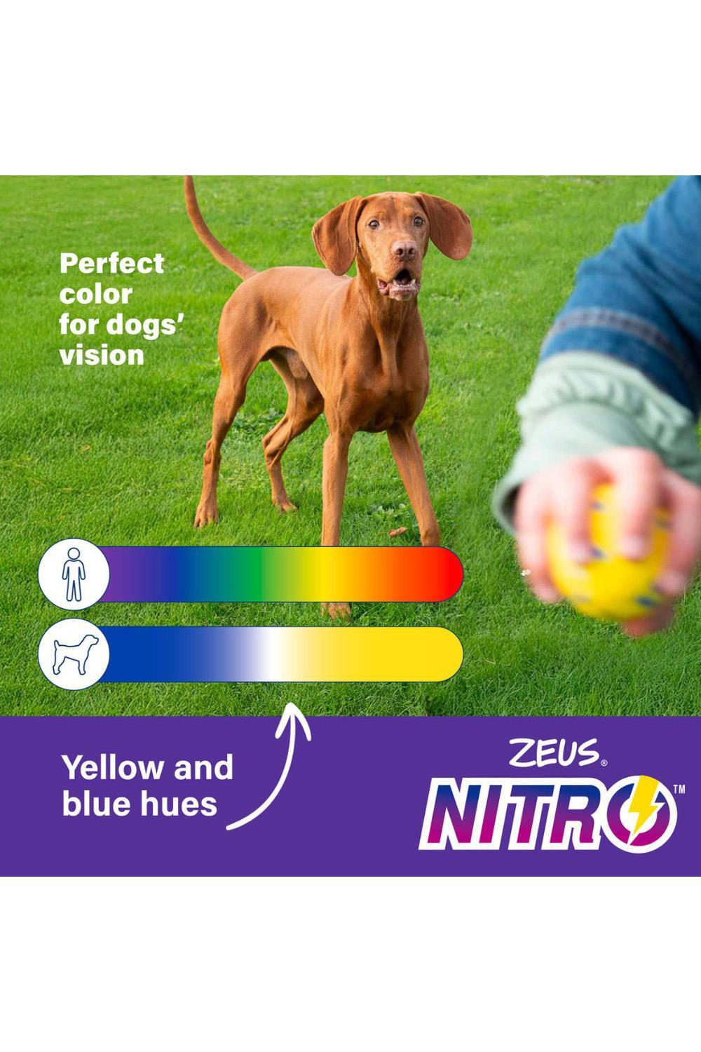 Zeus Nitro Bendy Bone Dog Toy 7/7