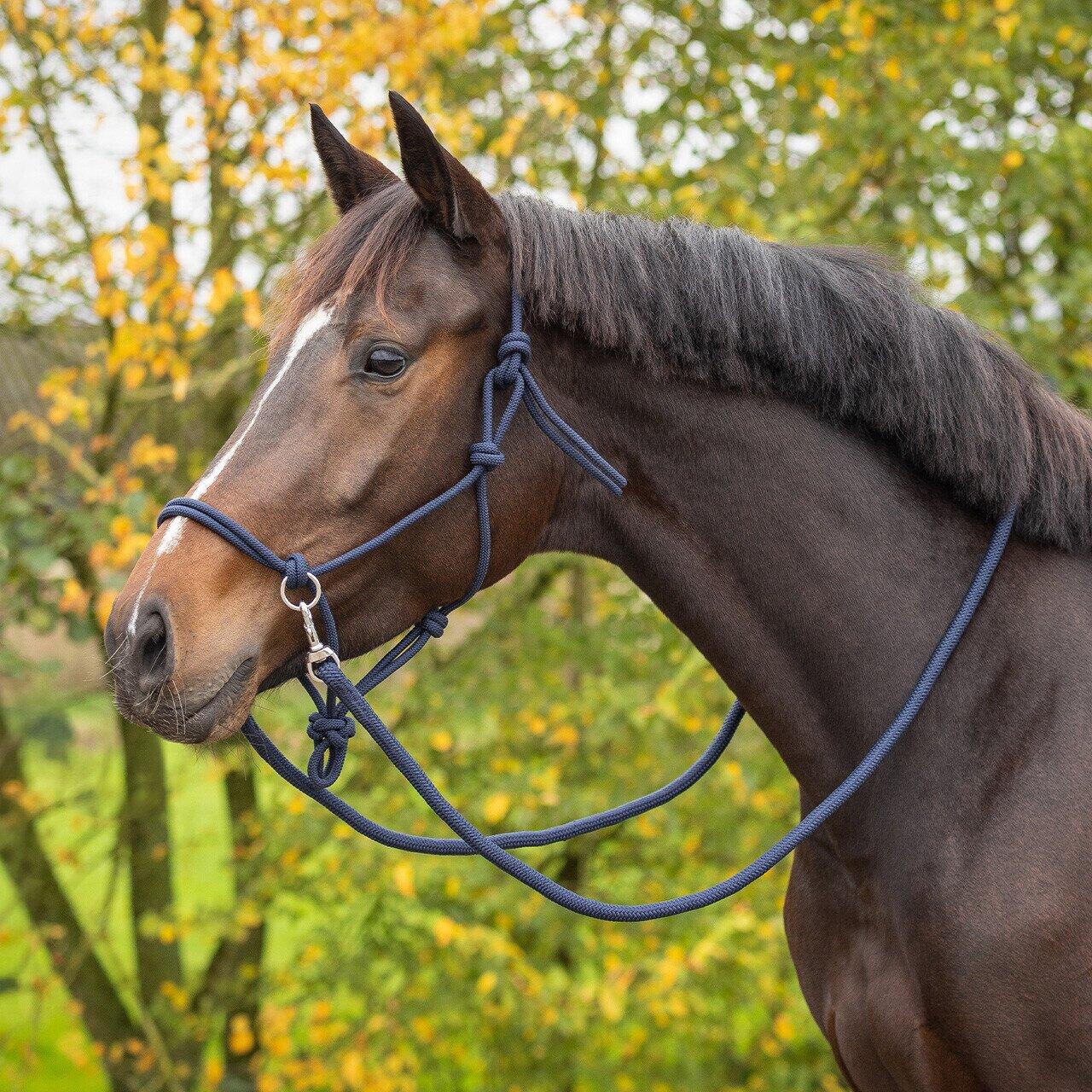 QHP Touwhalster Color met Teugel - Navy (Cob) (Cob) 2/3