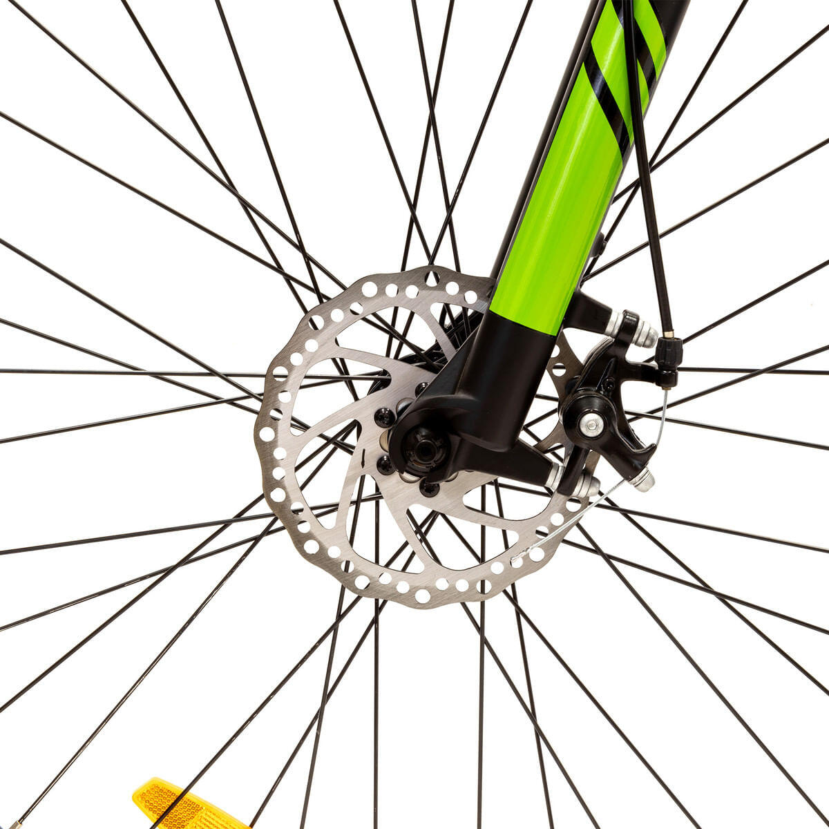 Argento Performance 5/5