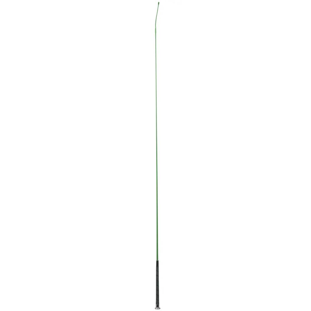 Dressage Whip Döbert Sun-whip