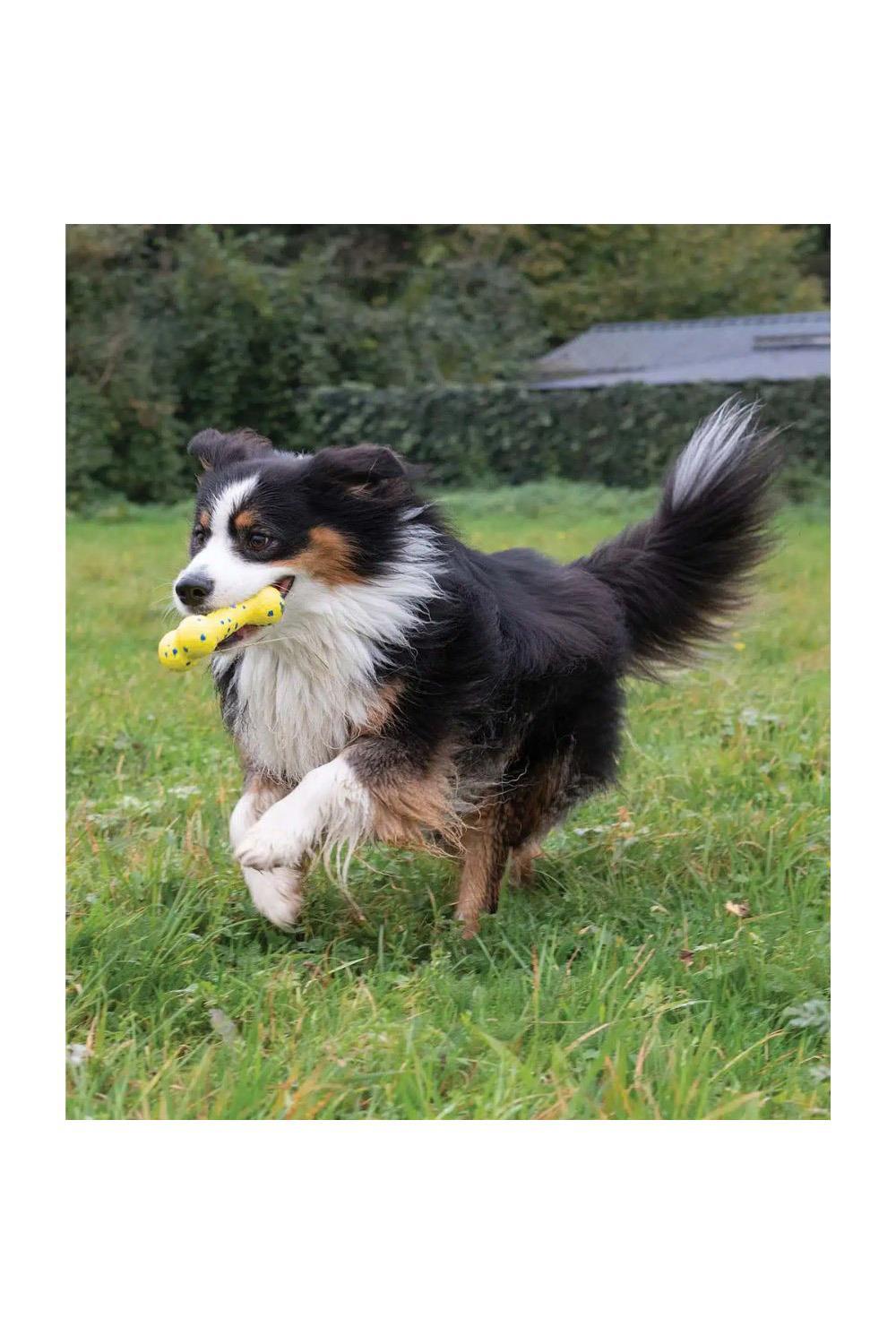 Zeus Nitro Bendy Bone Dog Toy 5/7