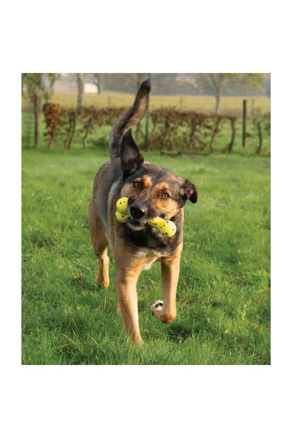 Zeus Nitro Bendy Bone Dog Toy 6/7