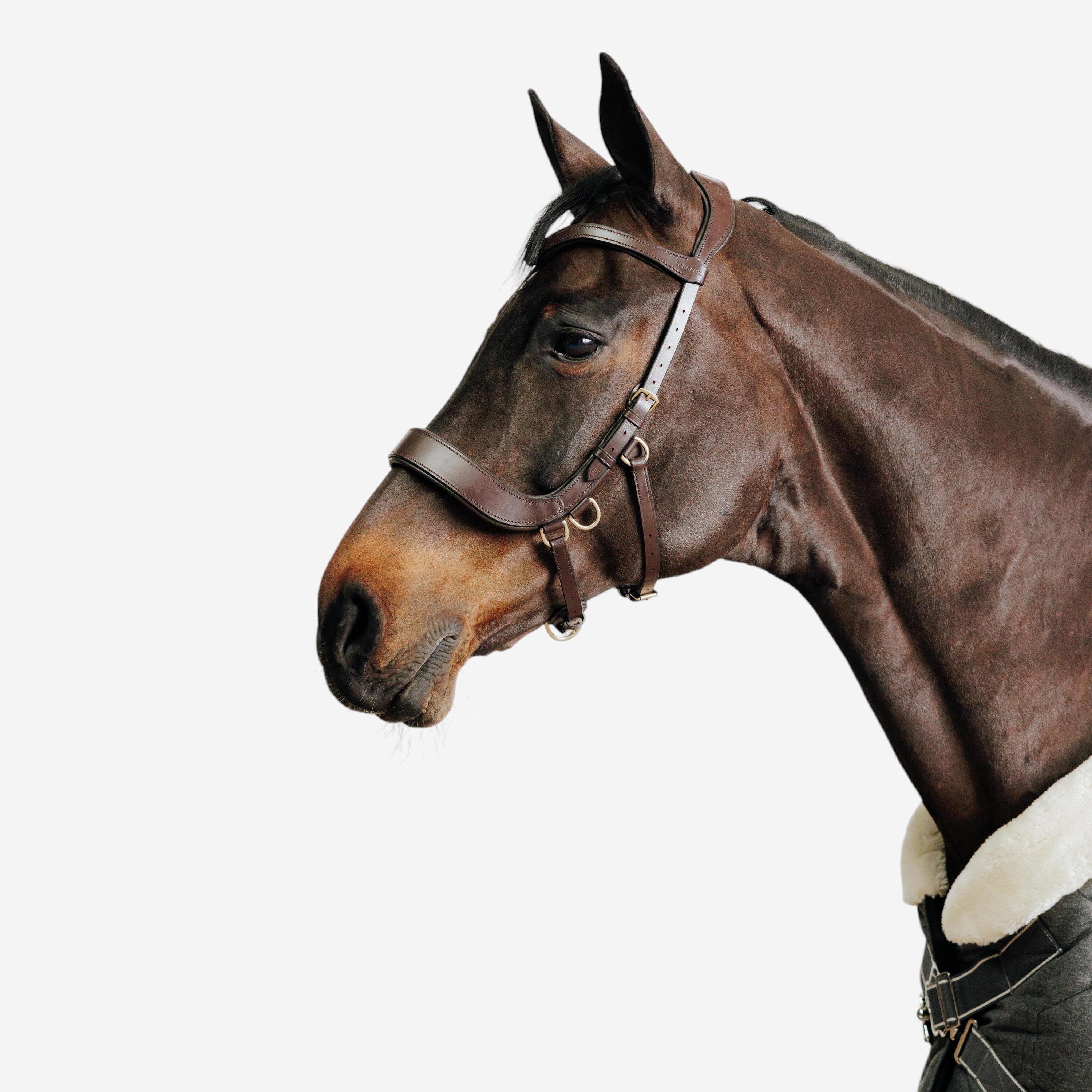 FOUGANZA Tweedehands - Hoofdstel zonder bit voor paardensport paarden en... - ZEER GOED