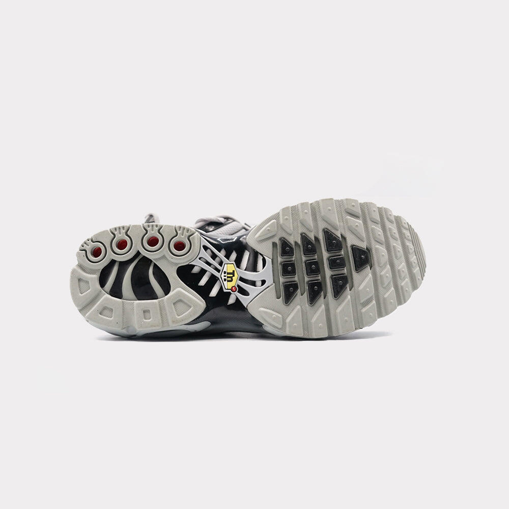 Air Max Plus Wolf Grey 4/5