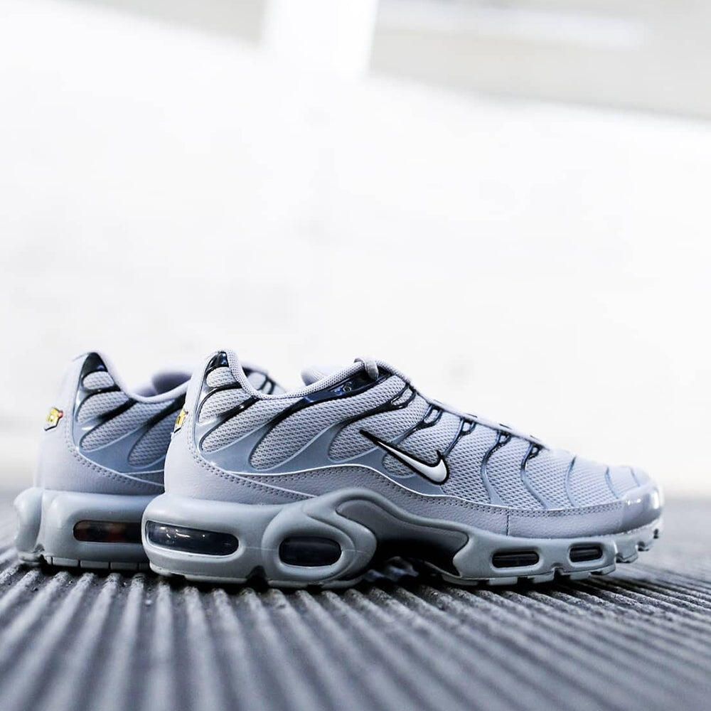 Air Max Plus Wolf Grey 5/5