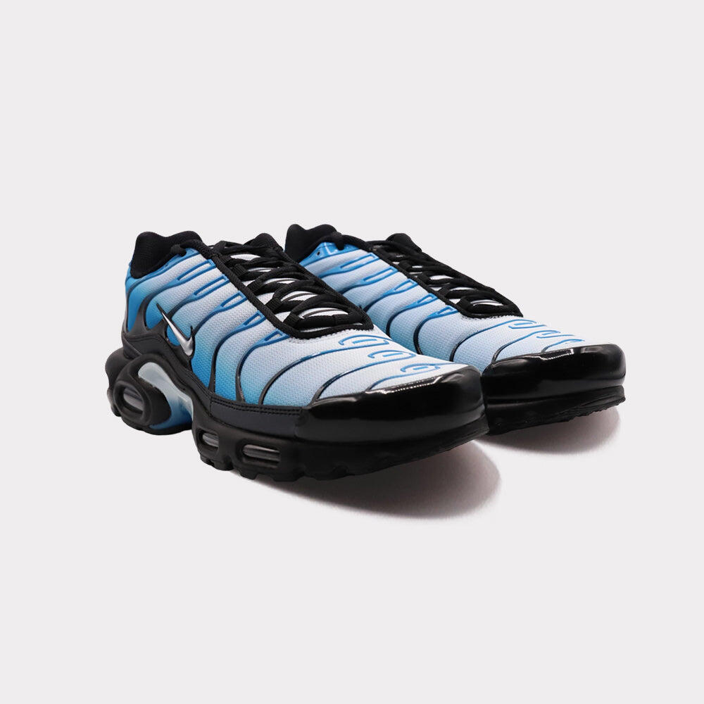 Air Max Plus Blue Gradient - Taille : 44.5 EU 2/7