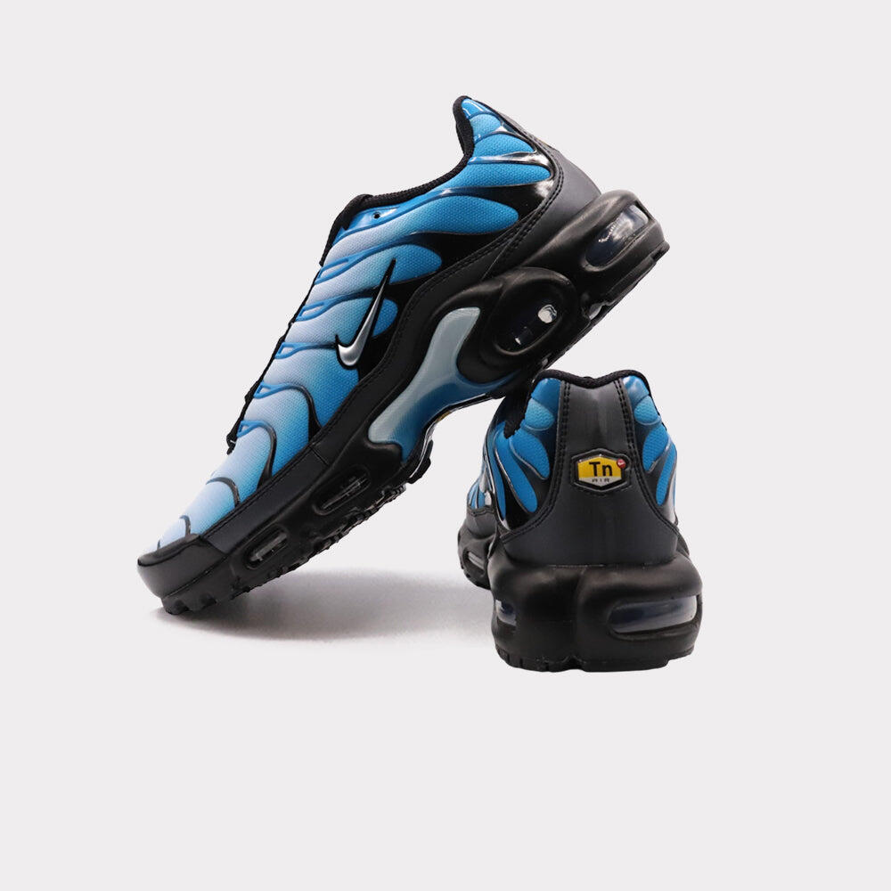 Air Max Plus Blue Gradient - Taille : 44.5 EU 3/7